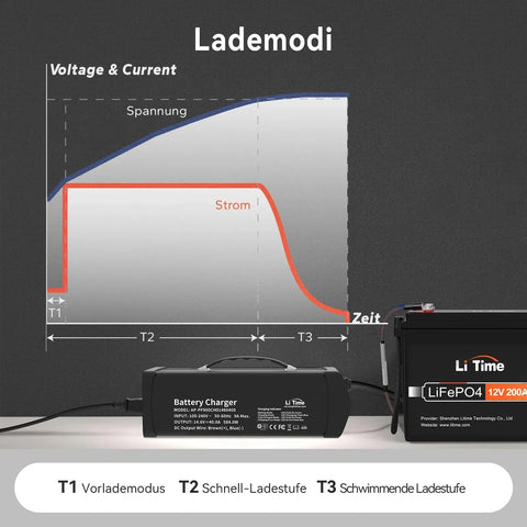 LiTime Caricabatterie Litio 14.6V 40A per Batterie LiFePO4 12V - LiTimeFR/IT/ES