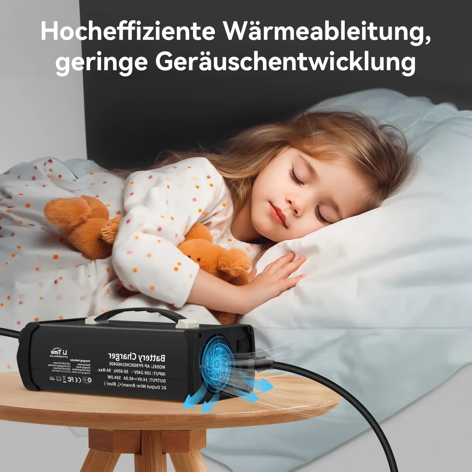 LiTime Caricabatterie Litio 14.6V 40A per Batterie LiFePO4 12V - LiTimeFR/IT/ES