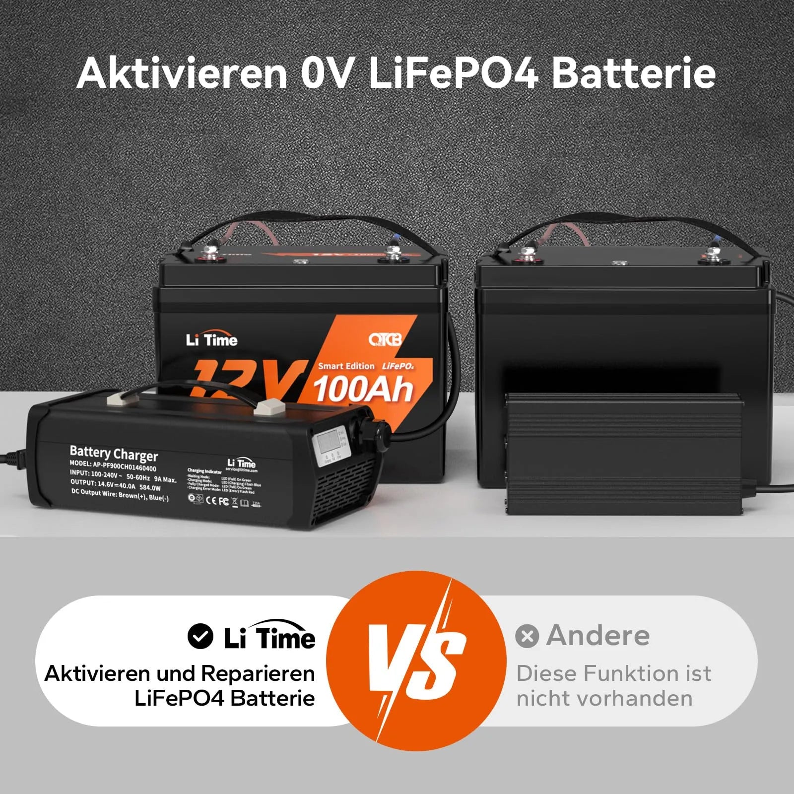LiTime Caricabatterie Litio 14.6V 40A per Batterie LiFePO4 12V - LiTimeFR/IT/ES