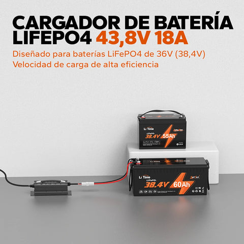 Cargador de baterías de litio LiTime 36V/43,8V 18A